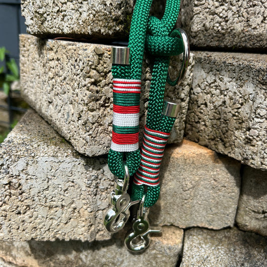 ROM – Leine läuft bei dir