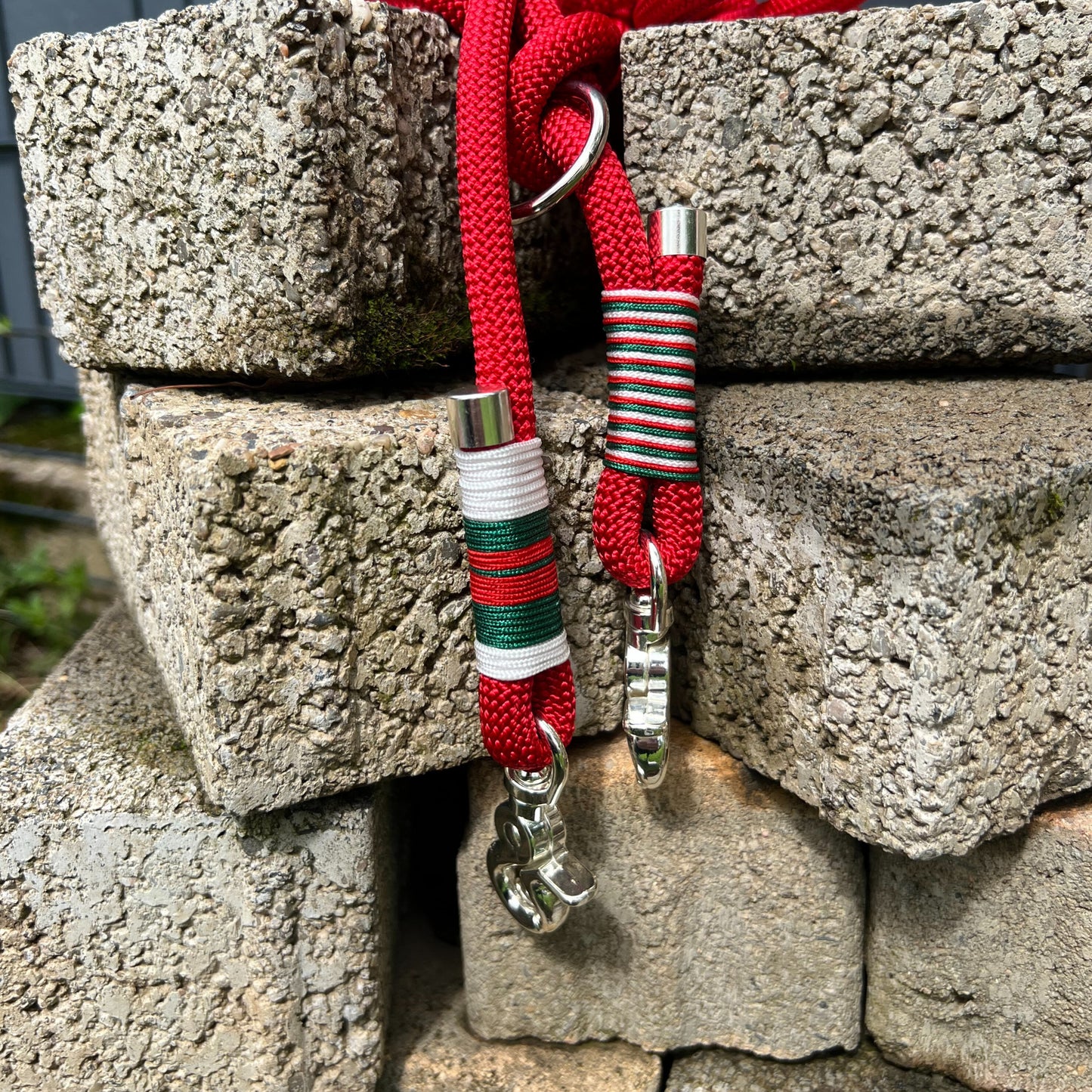 ROM – Leine läuft bei dir