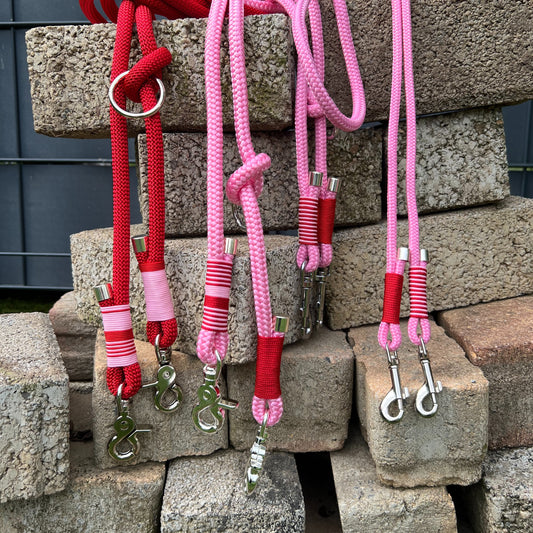 LOVE – der rote Teppich fürs Gassi