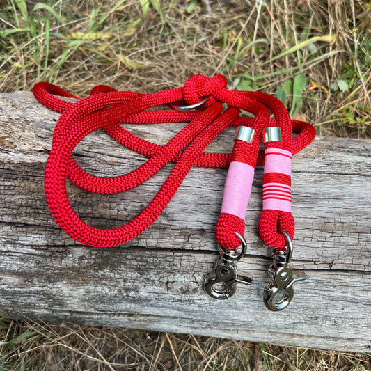 LOVE – der rote Teppich fürs Gassi