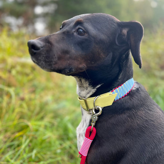 AMSTERDAM: Bärbel rocks die Gracht
