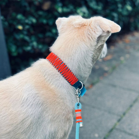 ZANDVOORT hat Bärbel am Hals