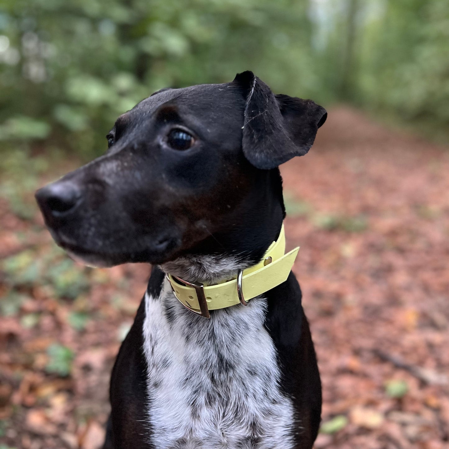 BÄRBEL un(an)gezogen