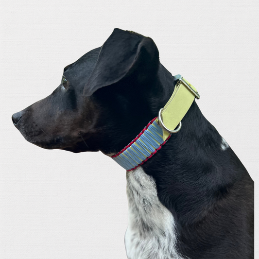 AMSTERDAM - Bärbel rocks die Gracht