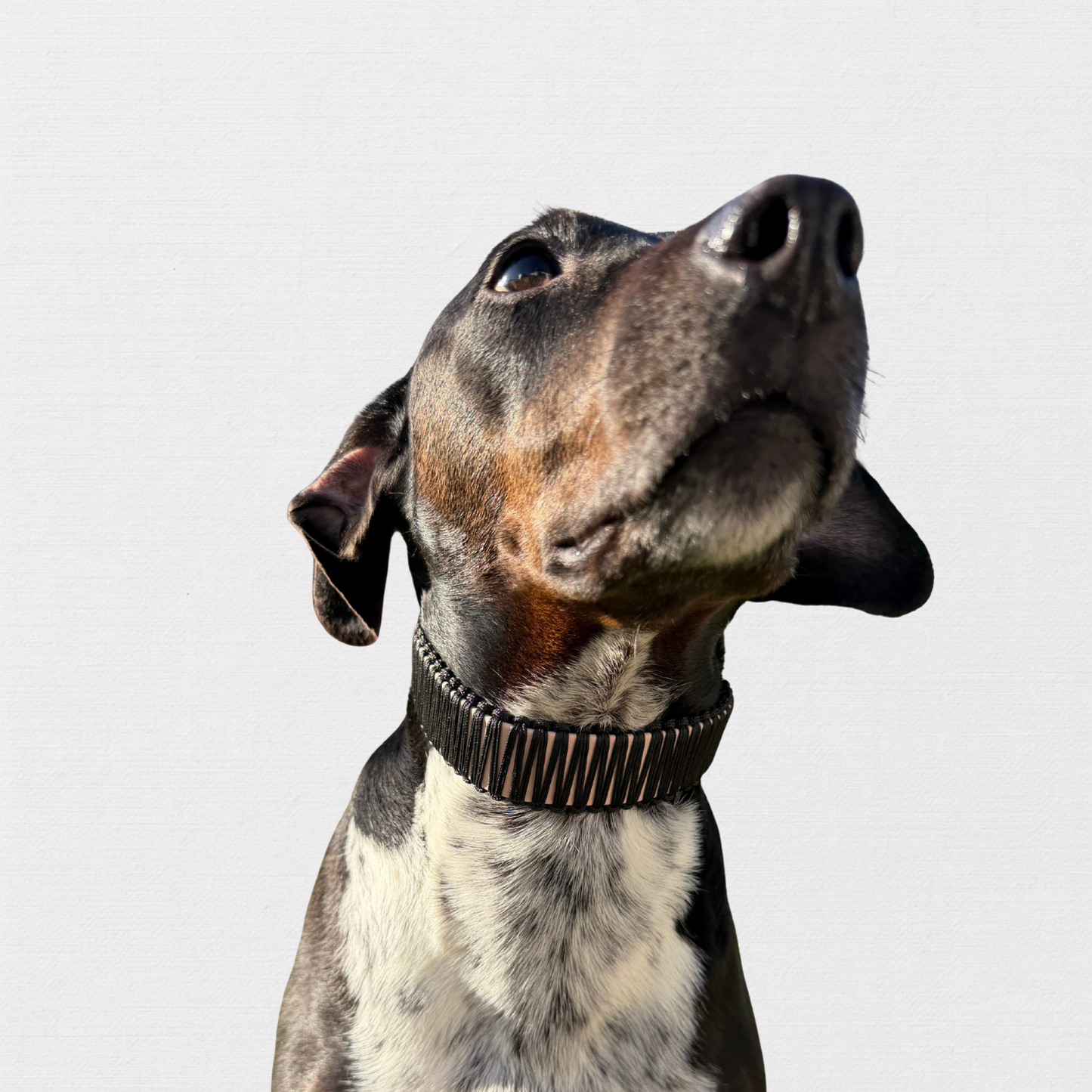 DUBAI – Bärbel mag’s luxuriös