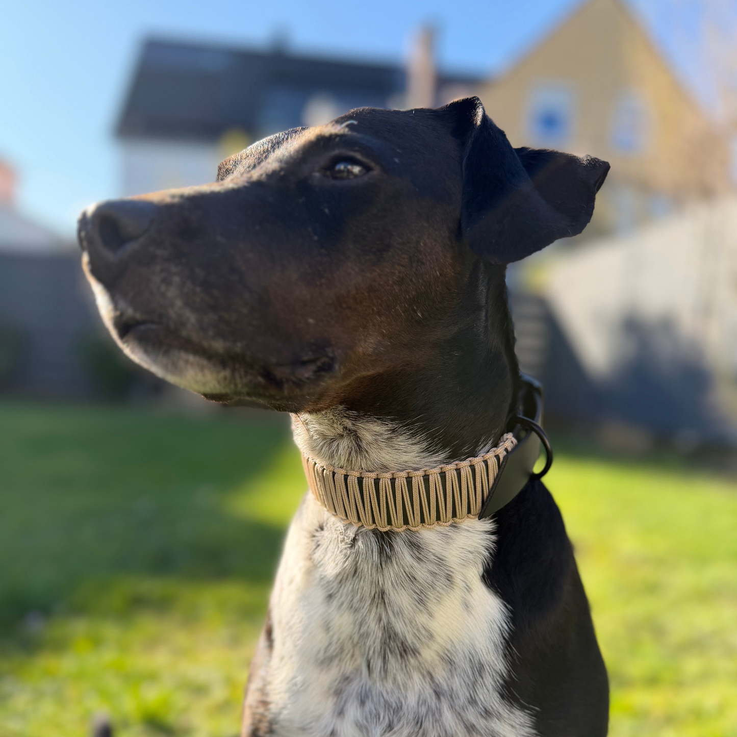 DUBAI – Bärbel mag’s luxuriös