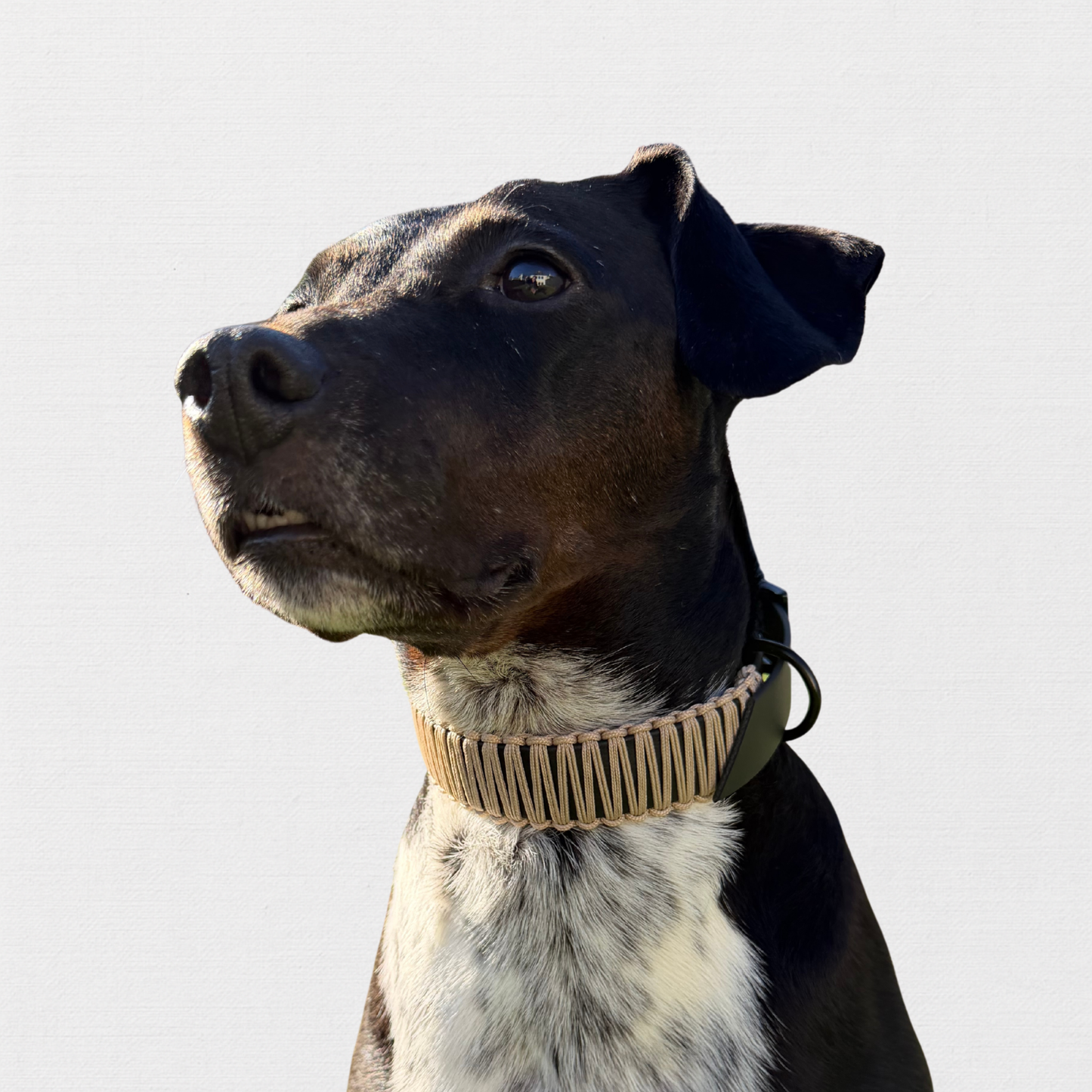 DUBAI – Bärbel mag’s luxuriös