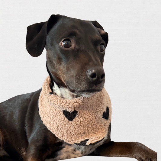 FIRLEFANZ – Halstuch für Hunde