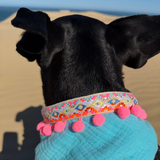 FIRLEFANZ – Halstuch für Hunde