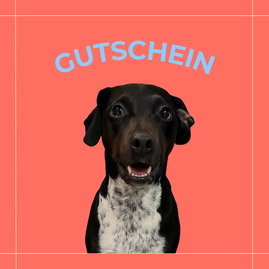 GUTSCHEIN