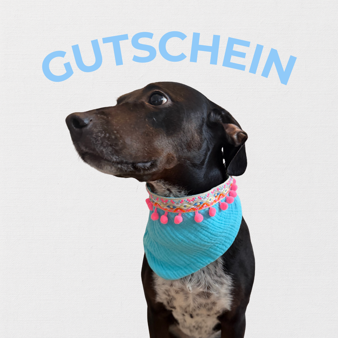 GUTSCHEIN
