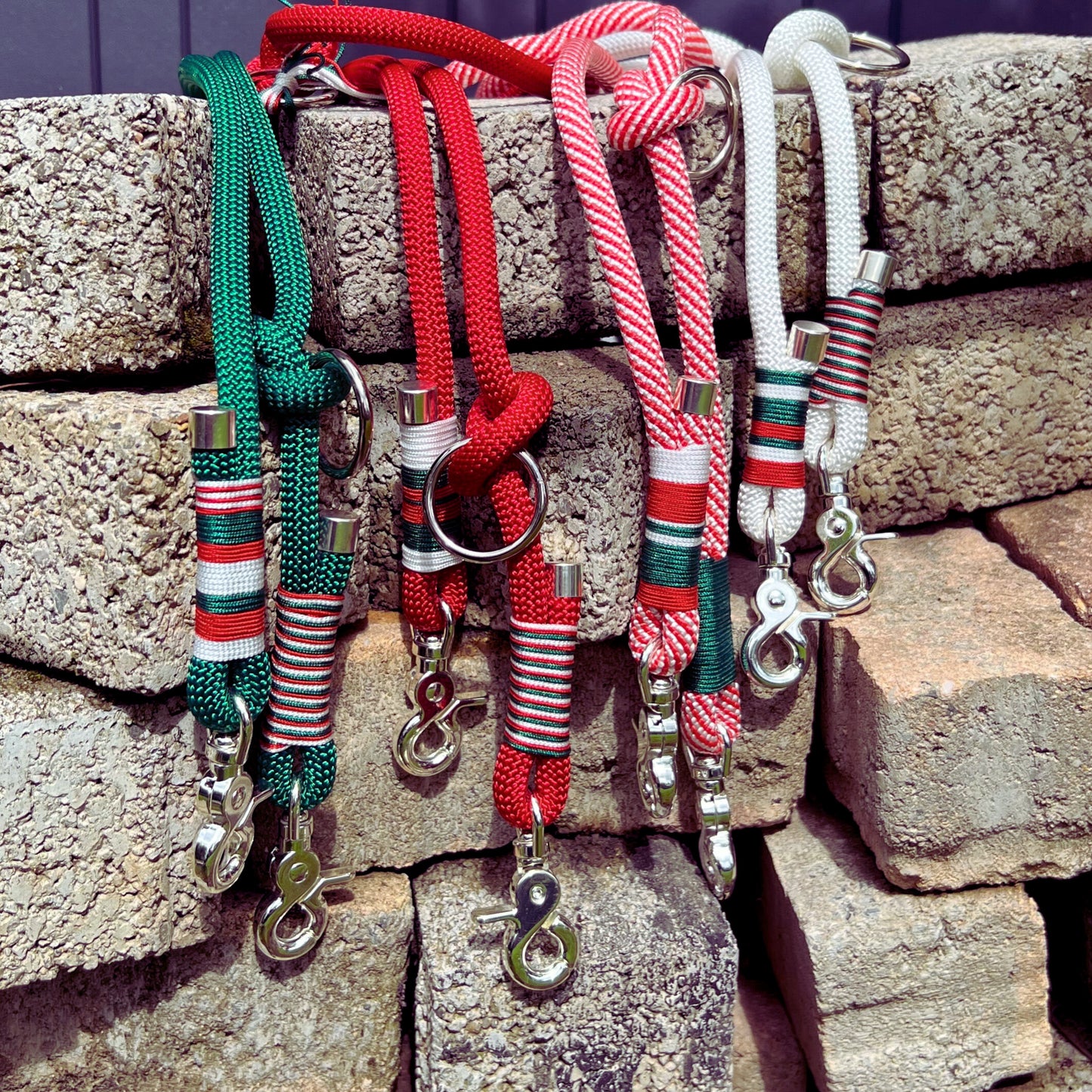 ROM – Leine läuft bei dir