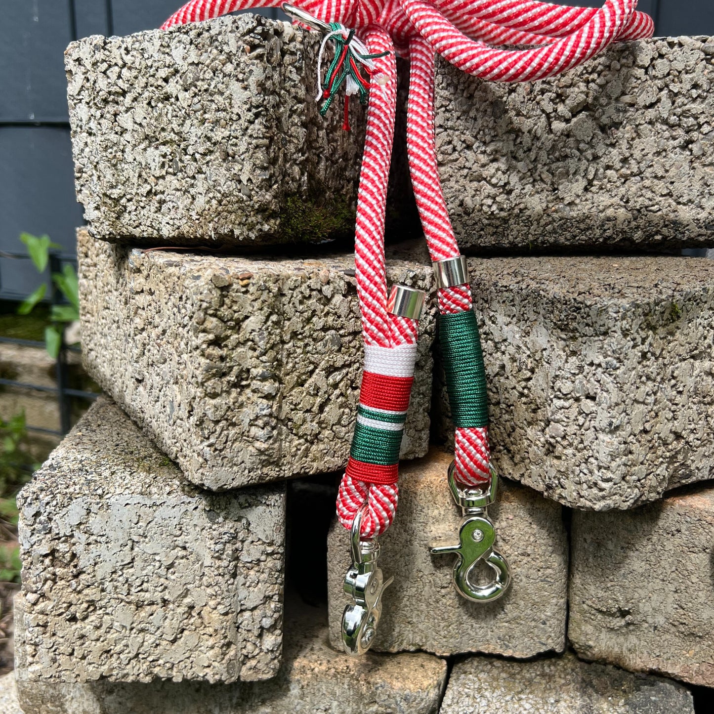 ROM – Leine läuft bei dir