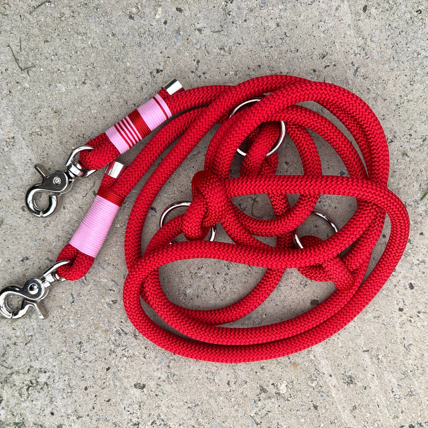 LOVE – der rote Teppich fürs Gassi