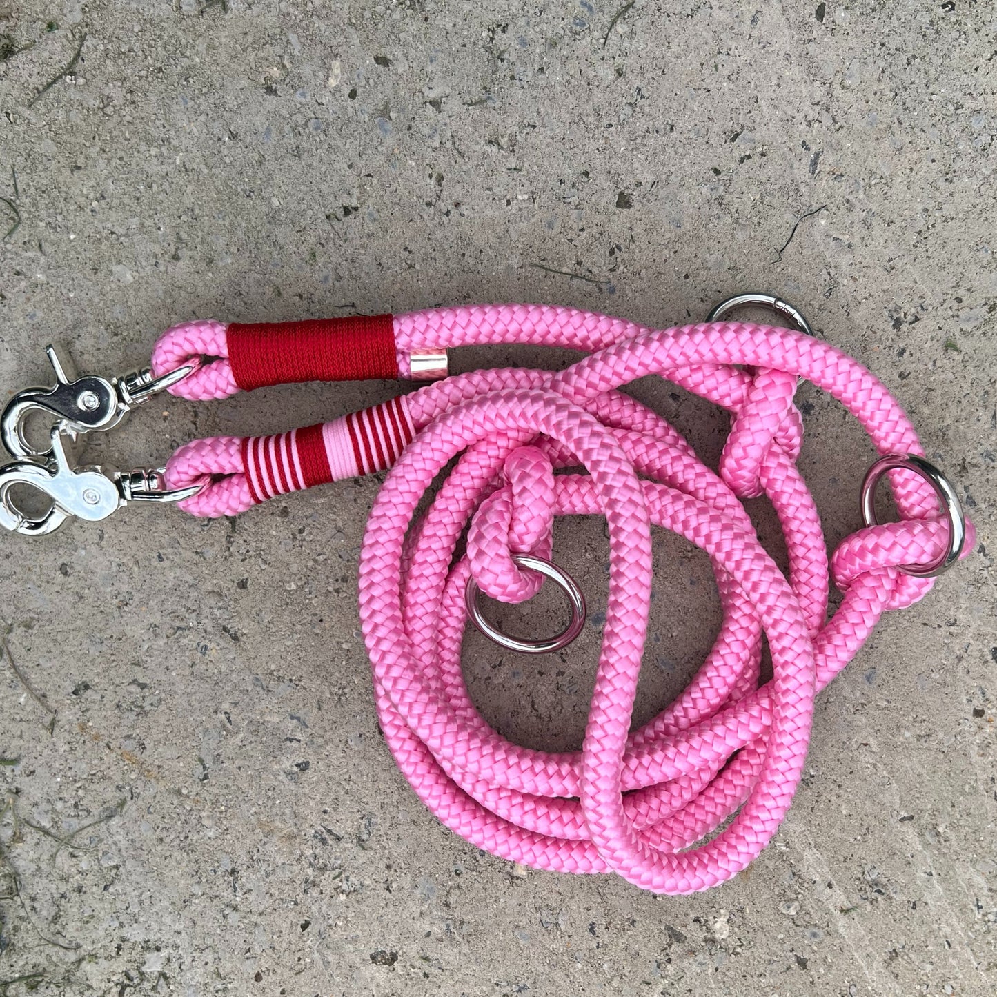 LOVE – der rote Teppich fürs Gassi