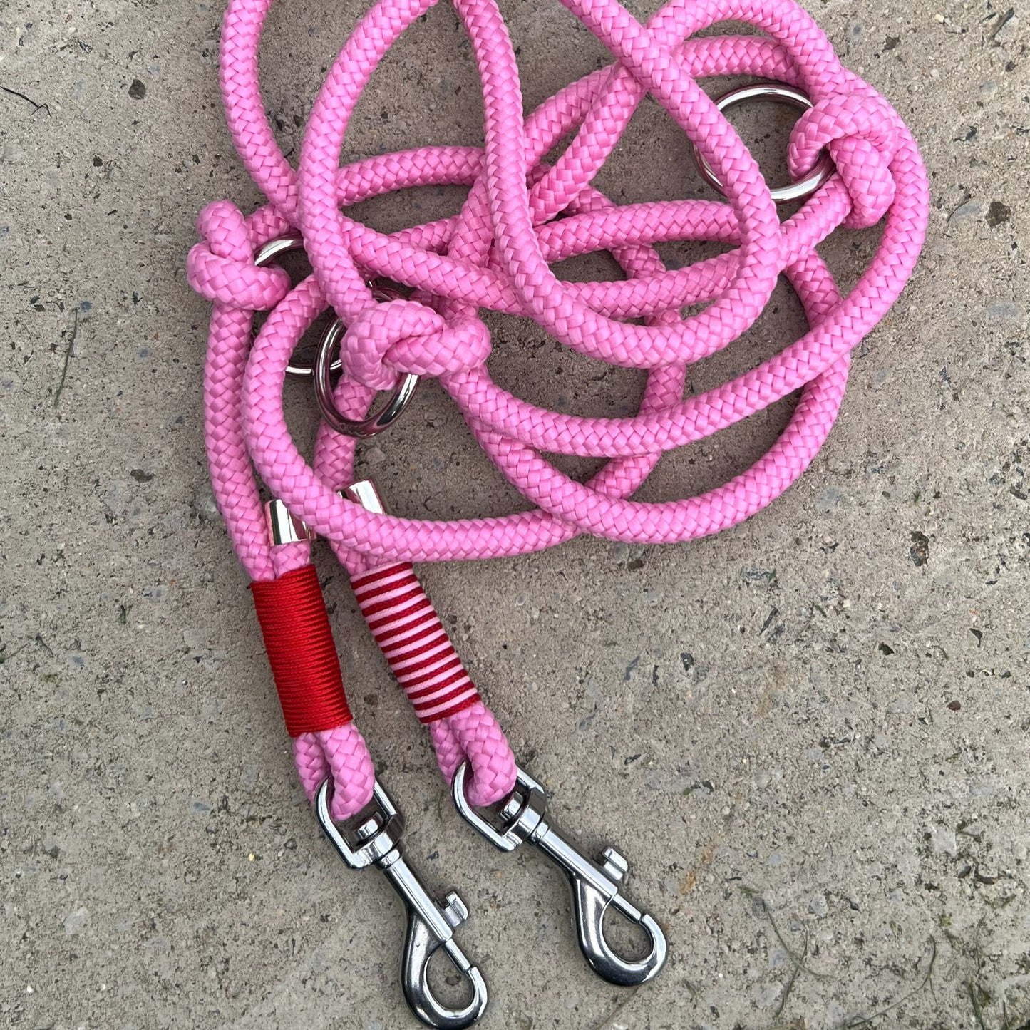 LOVE – der rote Teppich fürs Gassi