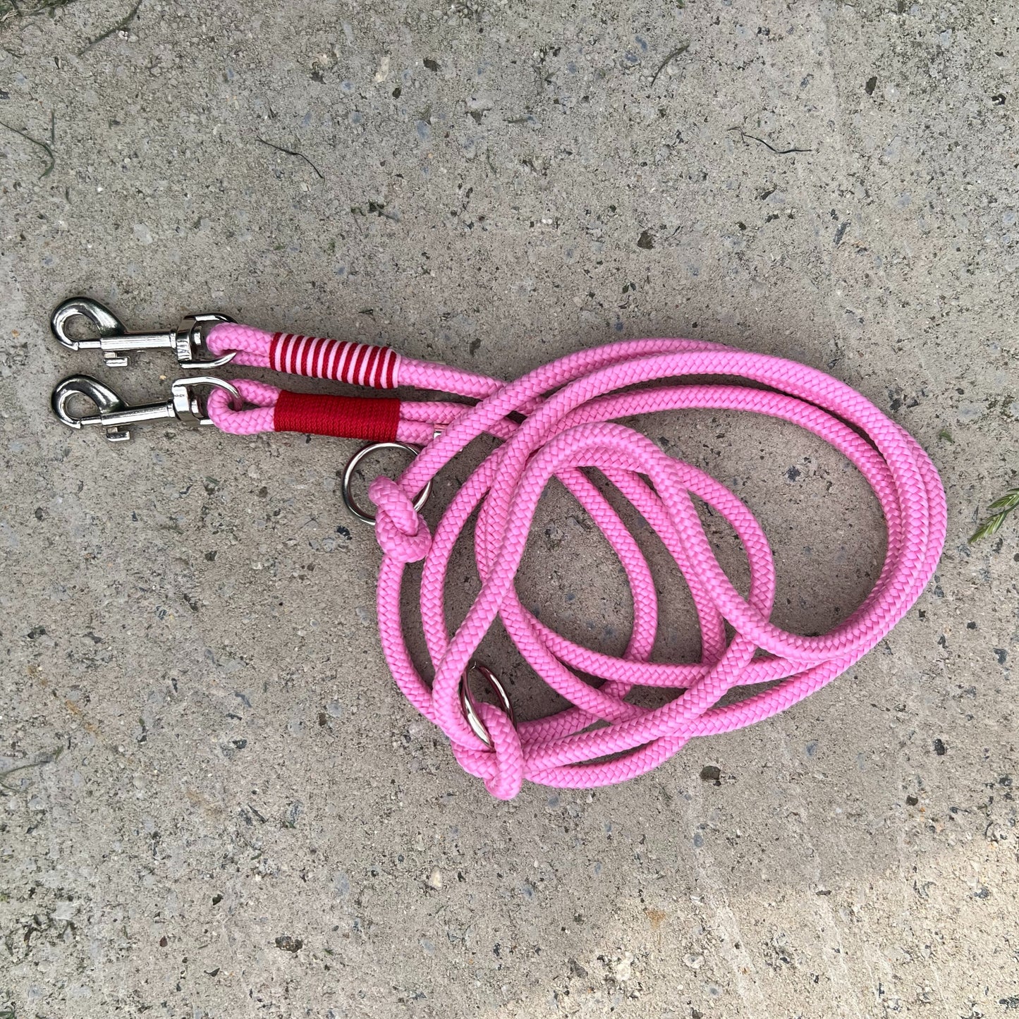 LOVE – der rote Teppich fürs Gassi