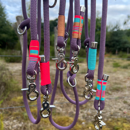 LISSABON – Hauptsache angeleint