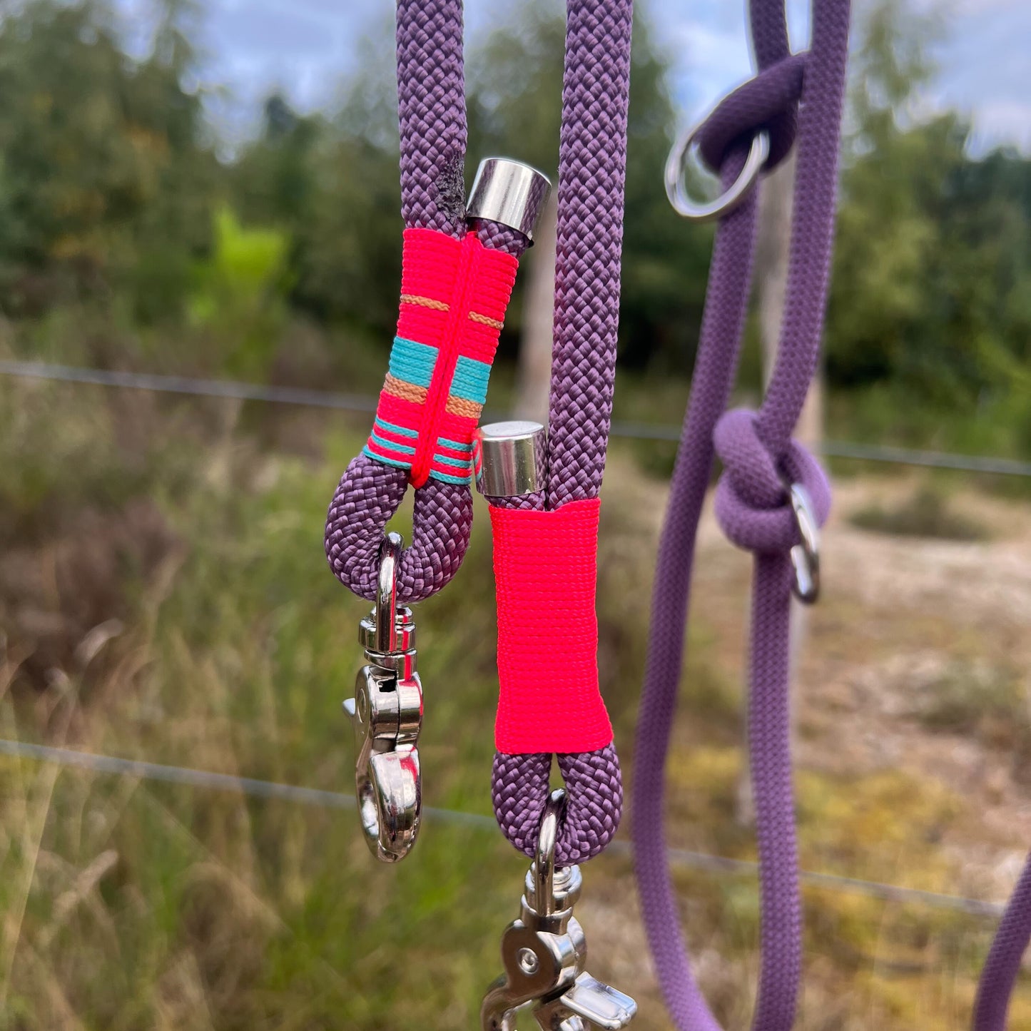 LISSABON – Hauptsache angeleint