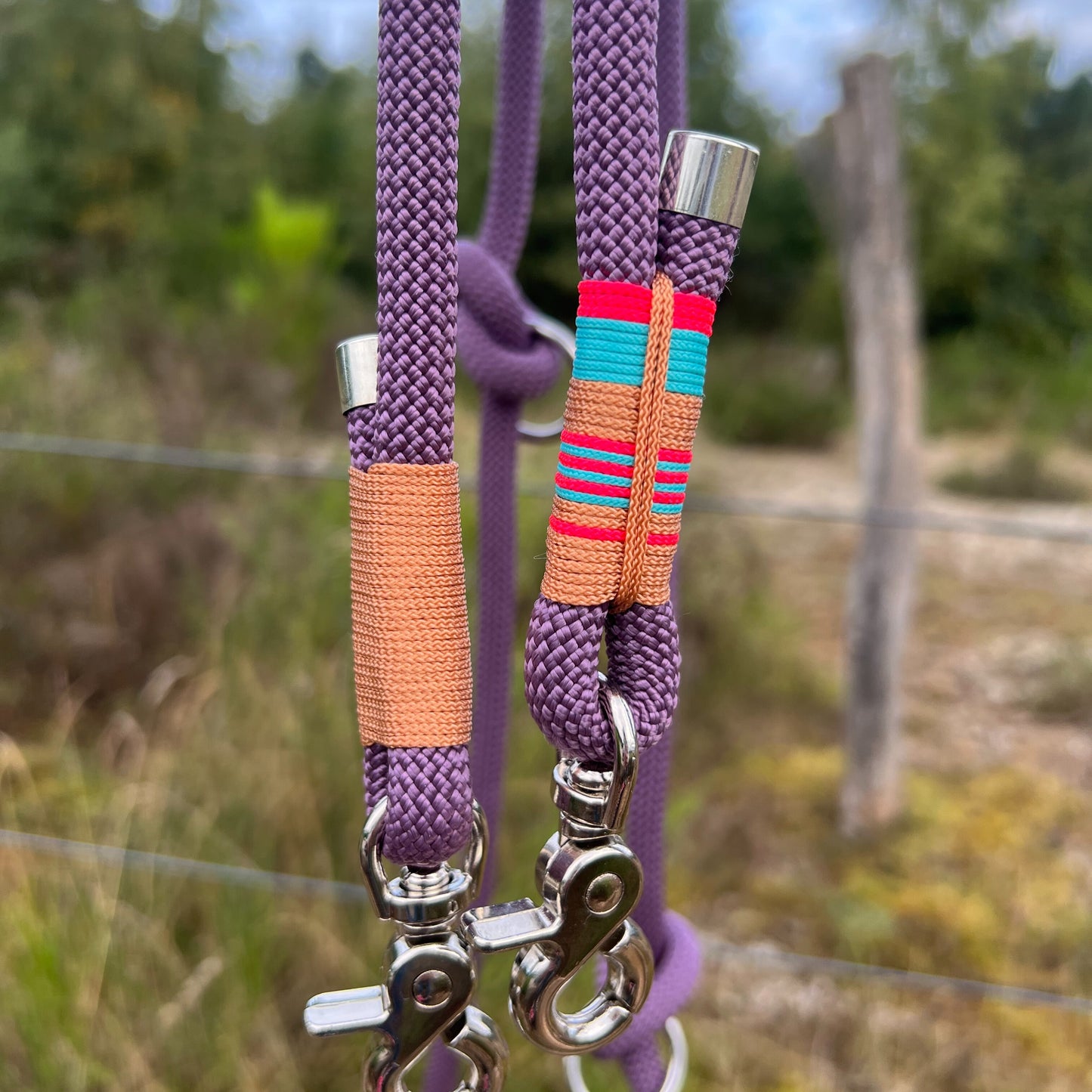 LISSABON – Hauptsache angeleint