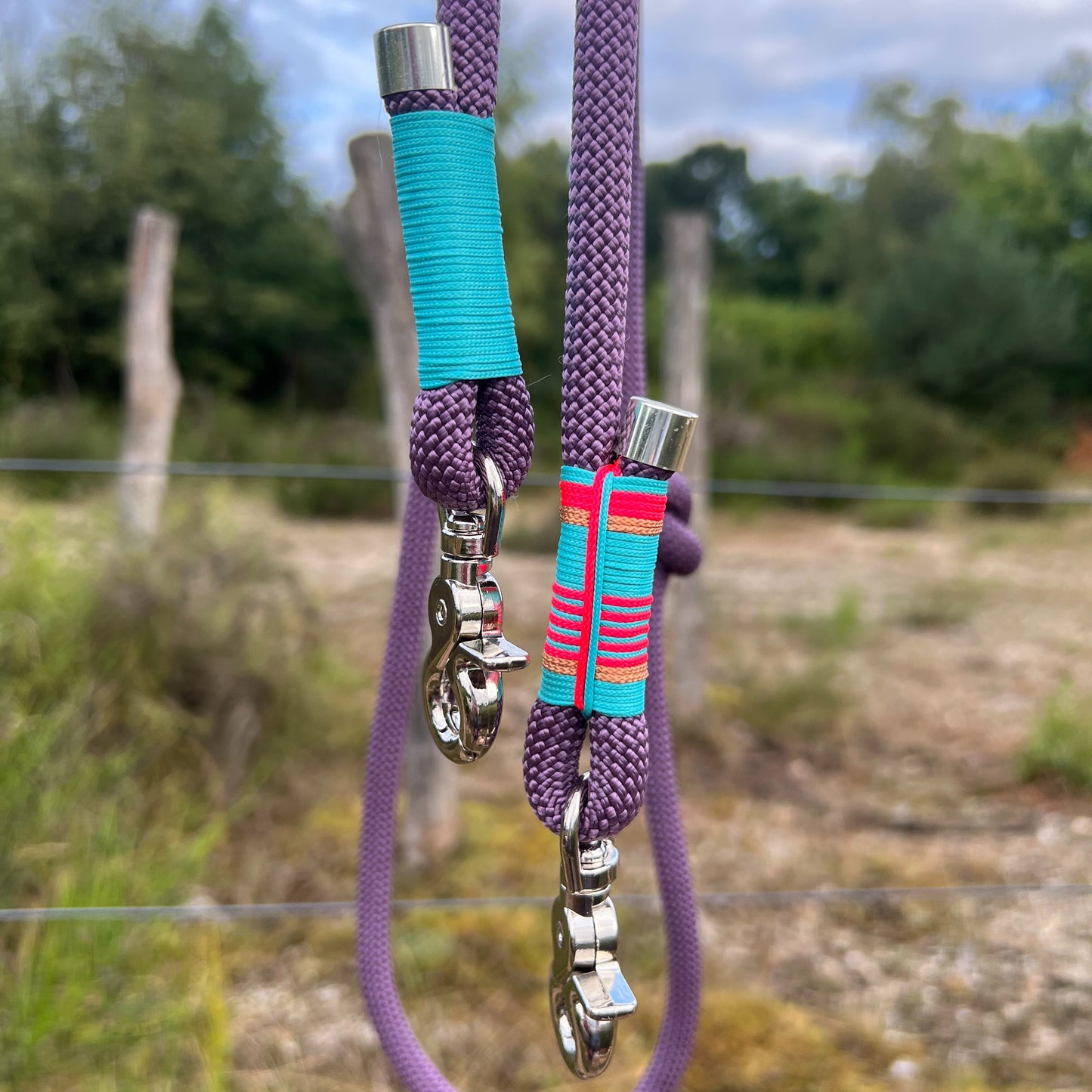 LISSABON – Hauptsache angeleint