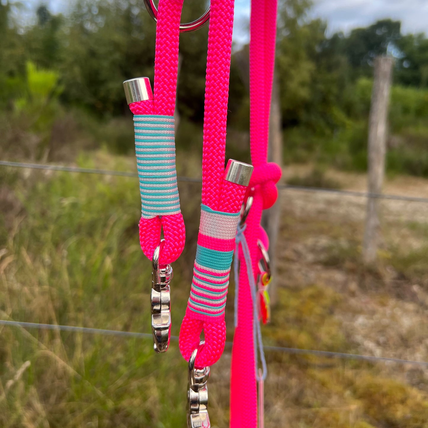 LAS VEGAS – die Stadt, die an der Leine liegt