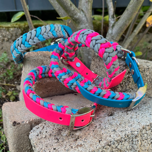 ZANDVOORT hat Kurt am Hals