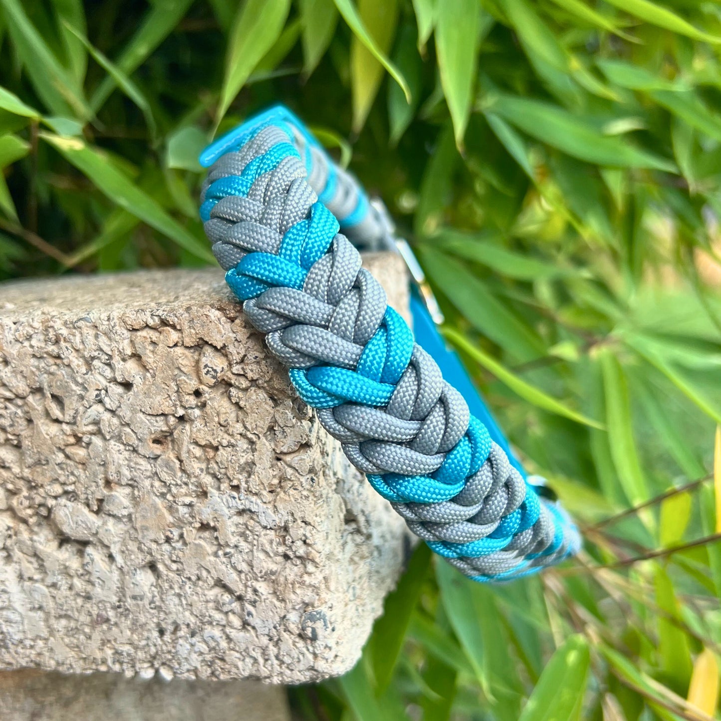 ZANDVOORT hat Kurt am Hals