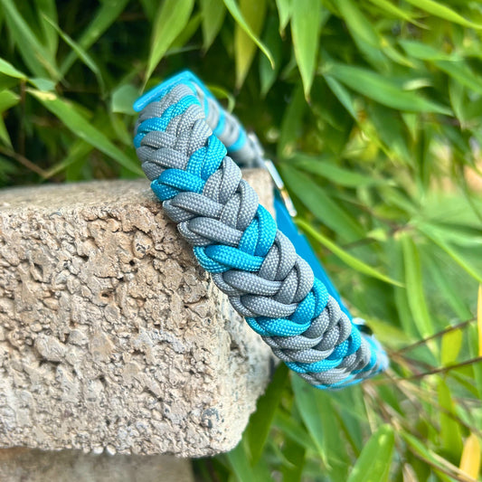 ZANDVOORT hat Kurt am Hals