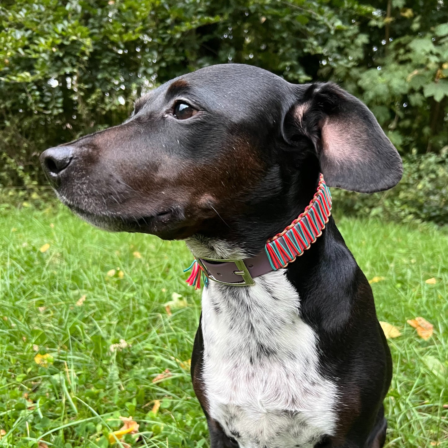 LISSABON mit Bärbel in Bestform