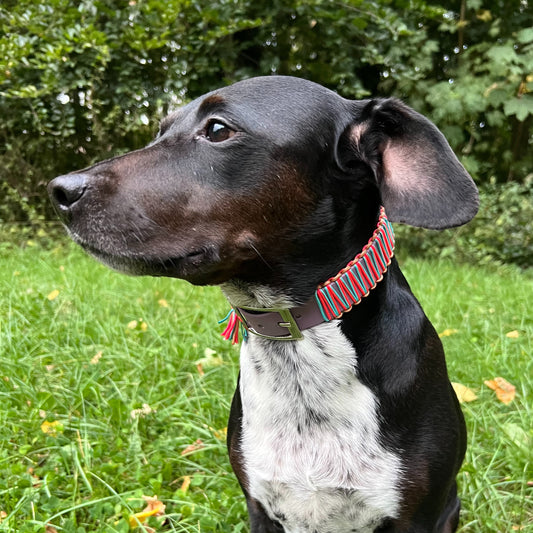 LISSABON mit Bärbel in Bestform