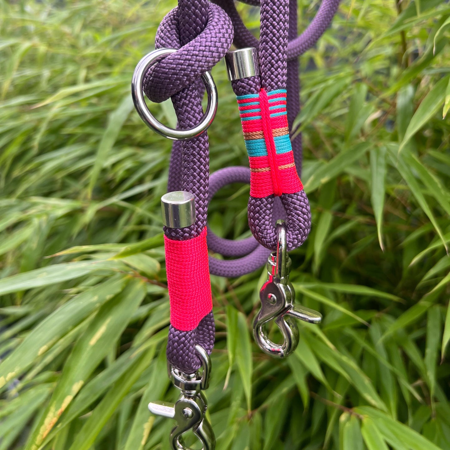 LISSABON – Hauptsache angeleint