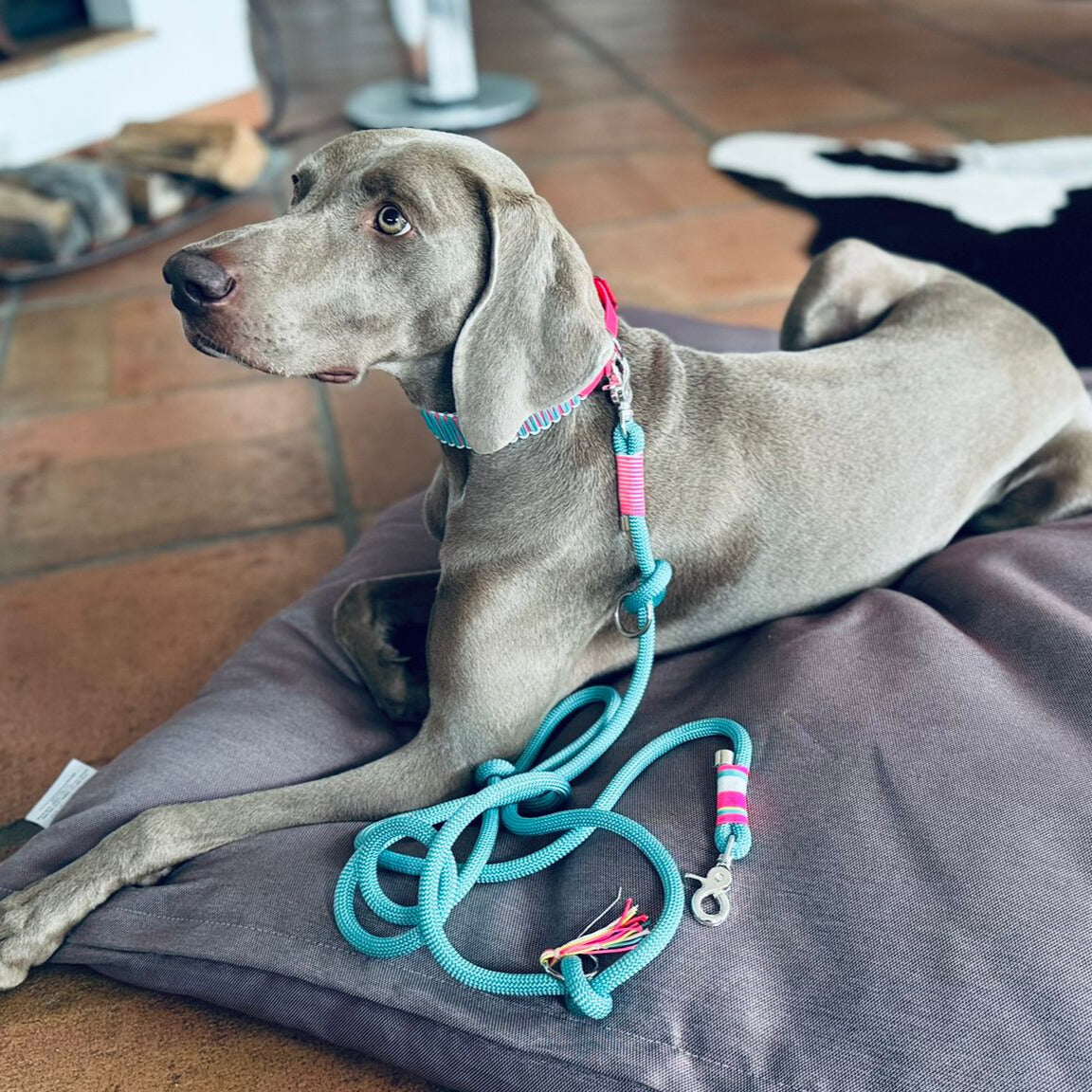 LAS VEGAS – die Stadt, die an der Leine liegt