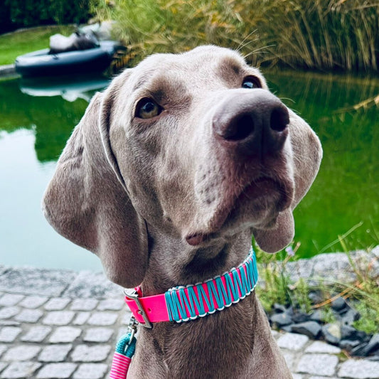 LAS VEGAS, Baby: Bärbel in Action 