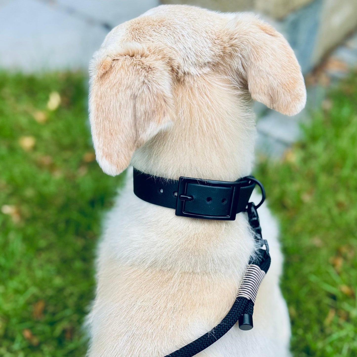 DUBAI – die mit Stil führt