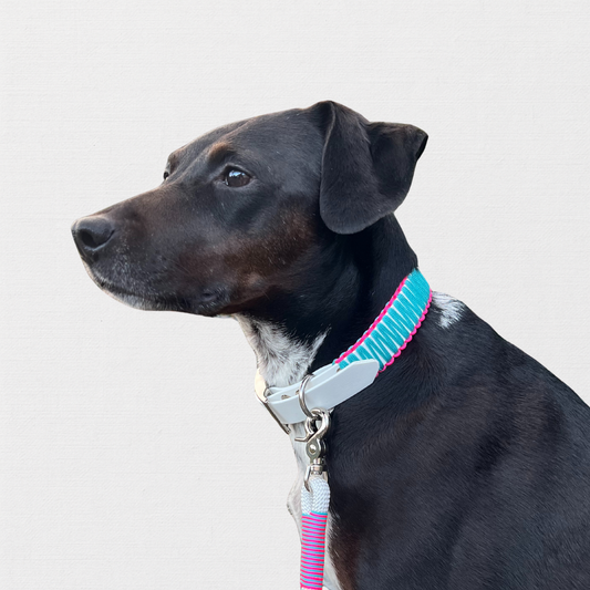 LAS VEGAS, Baby - Bärbel in Action 