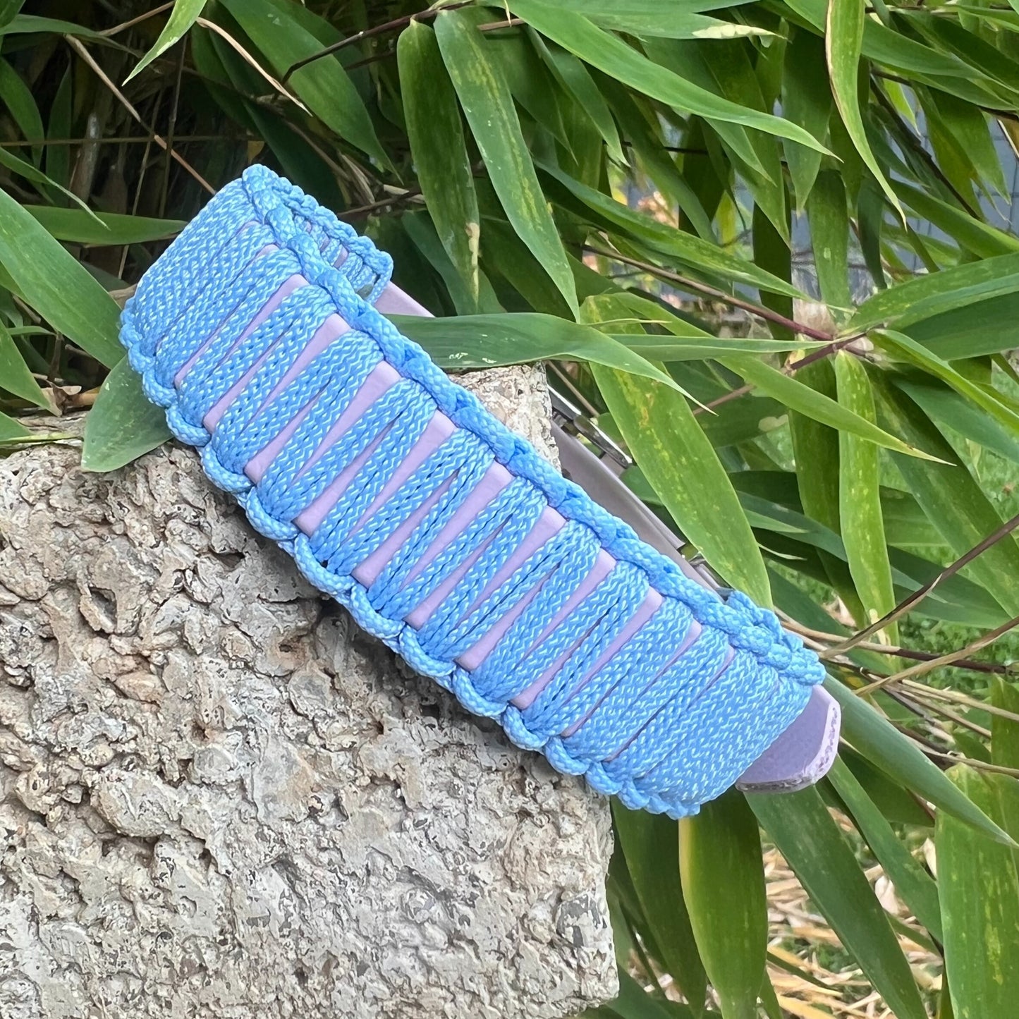 LOS ANGELES - Bärbel on the Walk of Fame