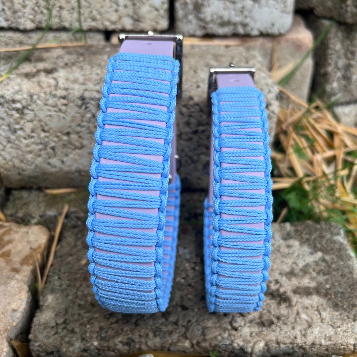 LOS ANGELES - Bärbel on the Walk of Fame