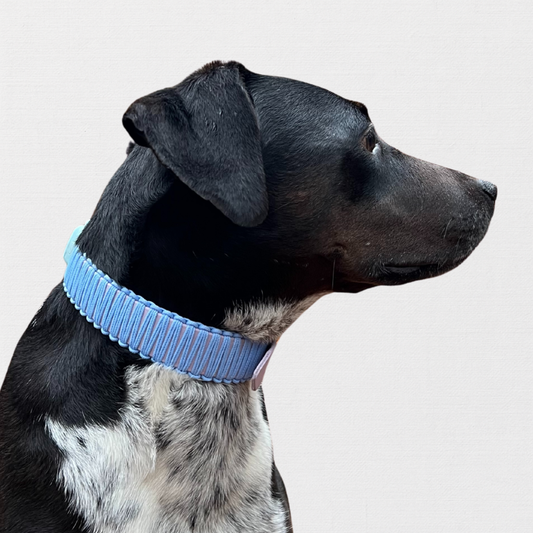 LOS ANGELES - Bärbel on the Walk of Fame