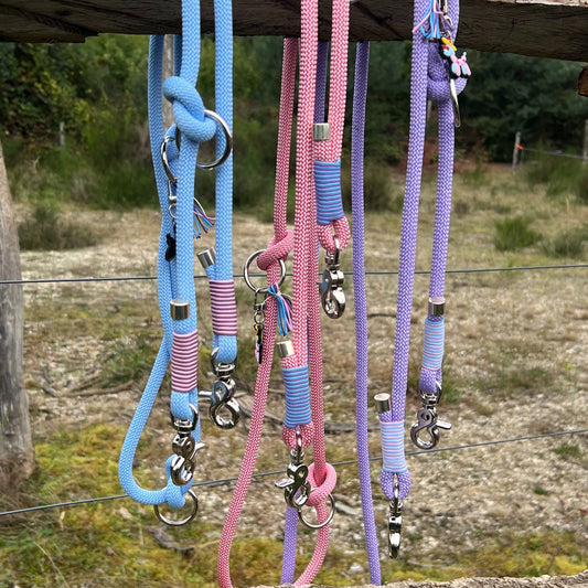 LOS ANGELES – für Gassi mit Glanz