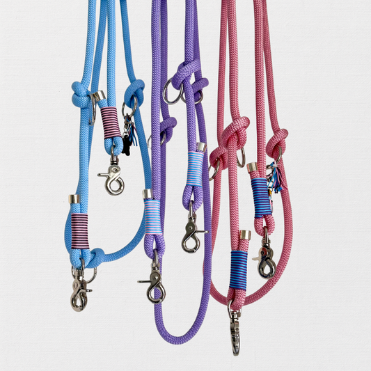 LOS ANGELES – für Gassi mit Glanz