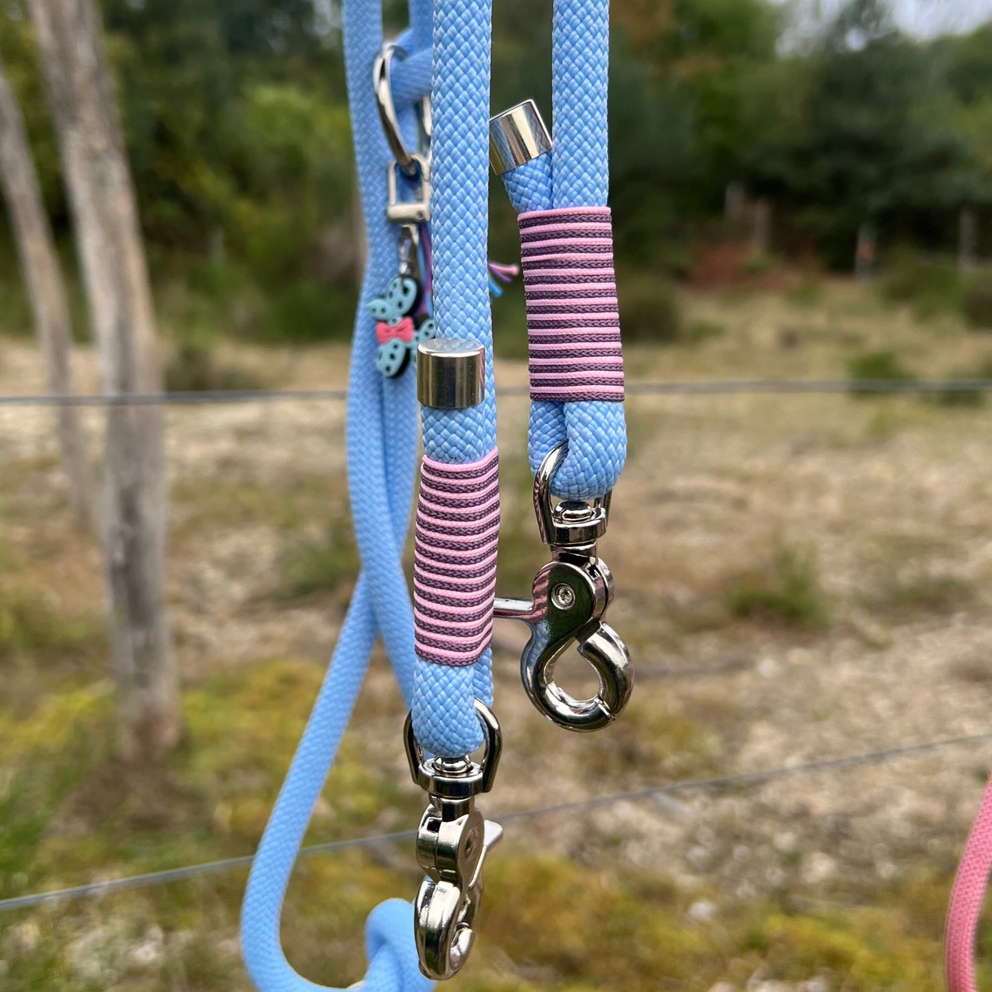 LOS ANGELES – für Gassi mit Glanz