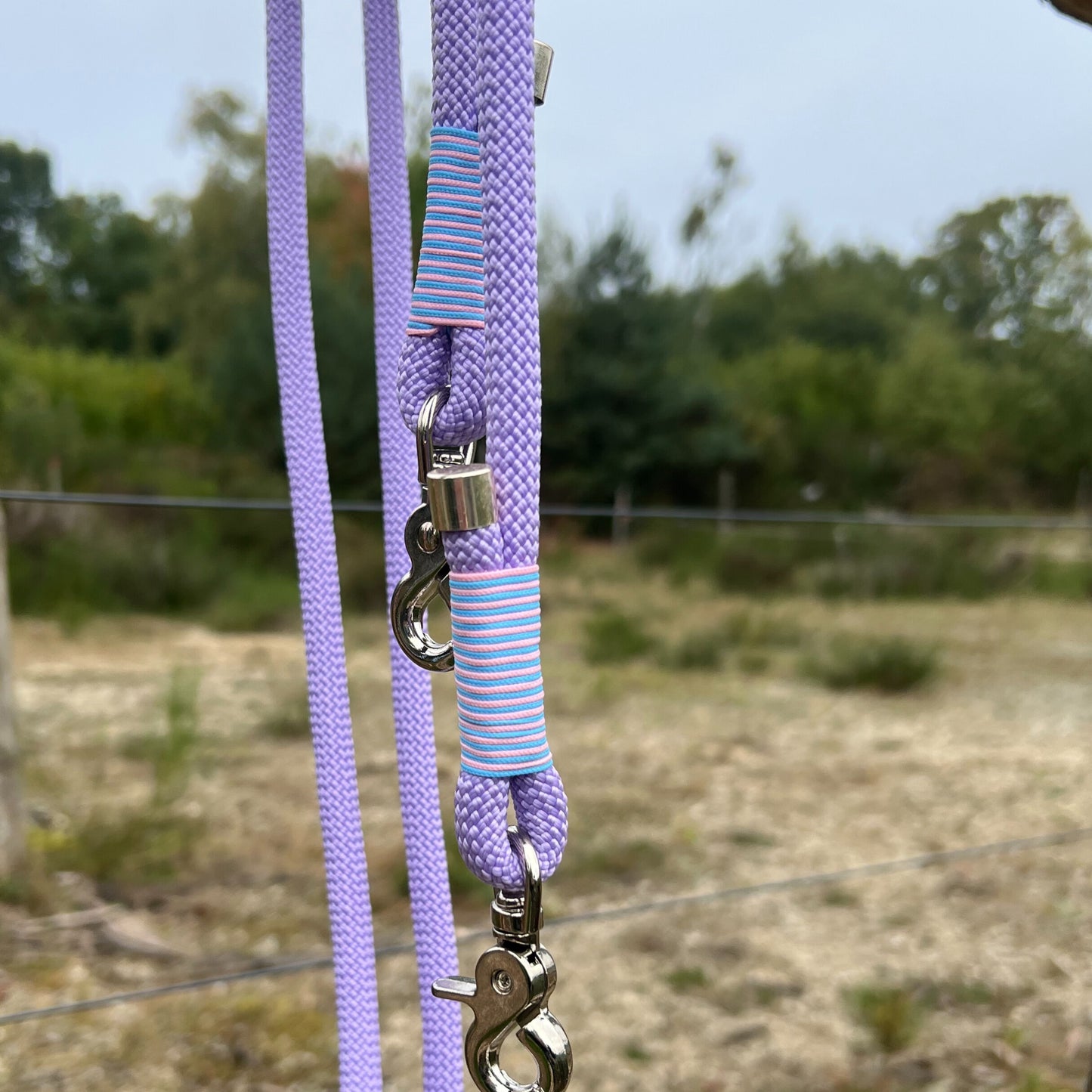 LOS ANGELES – für Gassi mit Glanz