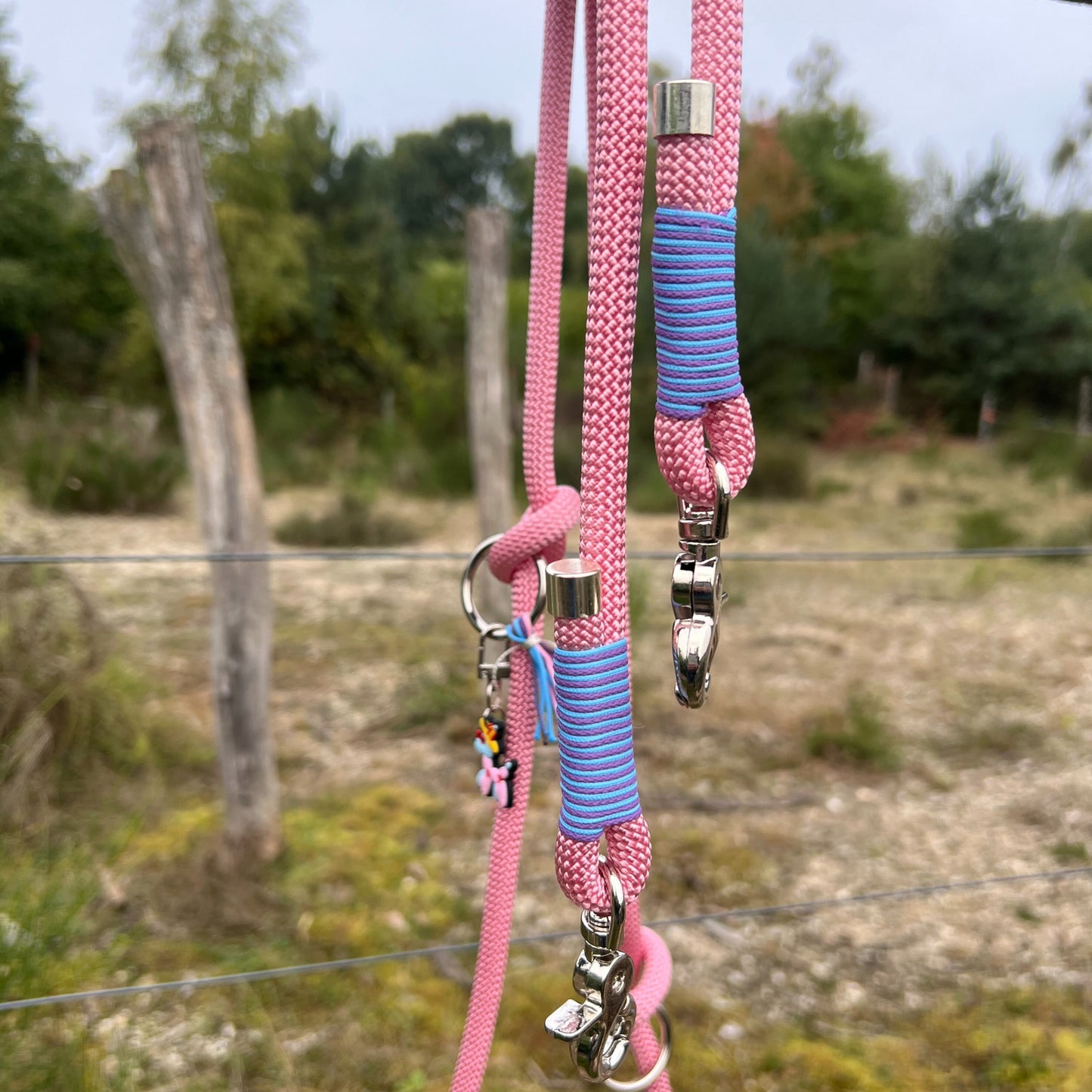 LOS ANGELES – für Gassi mit Glanz