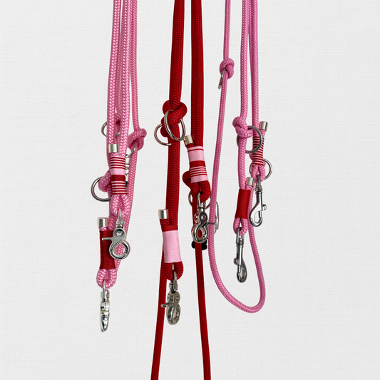 LOVE – der rote Teppich fürs Gassi