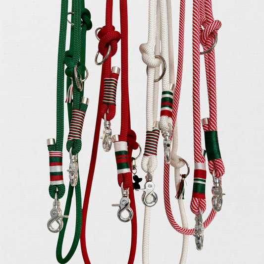 ROM – Leine läuft bei dir