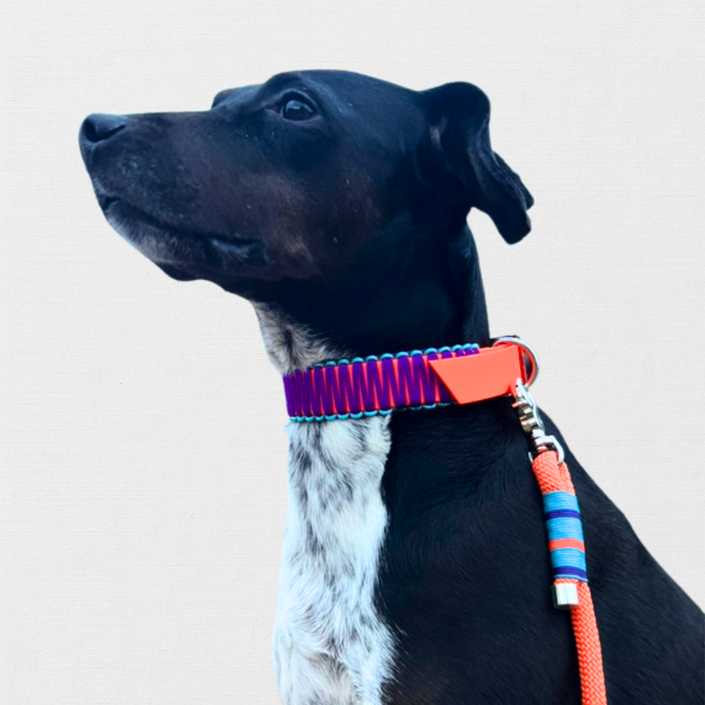 SAN FRANCISCO - aber bitte mit Bärbel