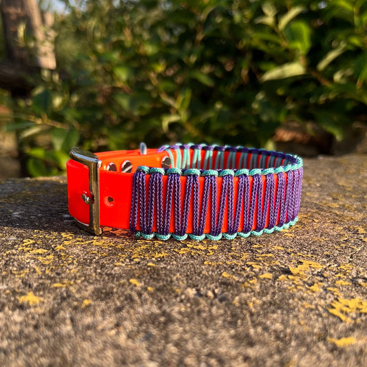 SAN FRANCISCO, aber bitte mit Bärbel