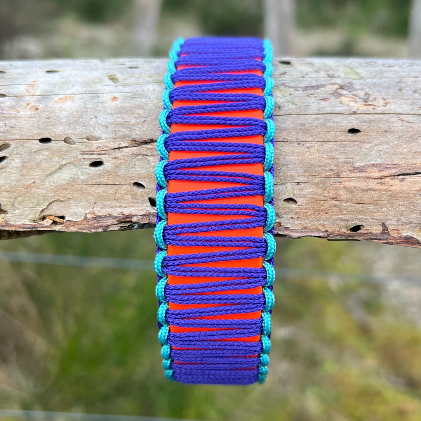 SAN FRANCISCO, aber bitte mit Bärbel