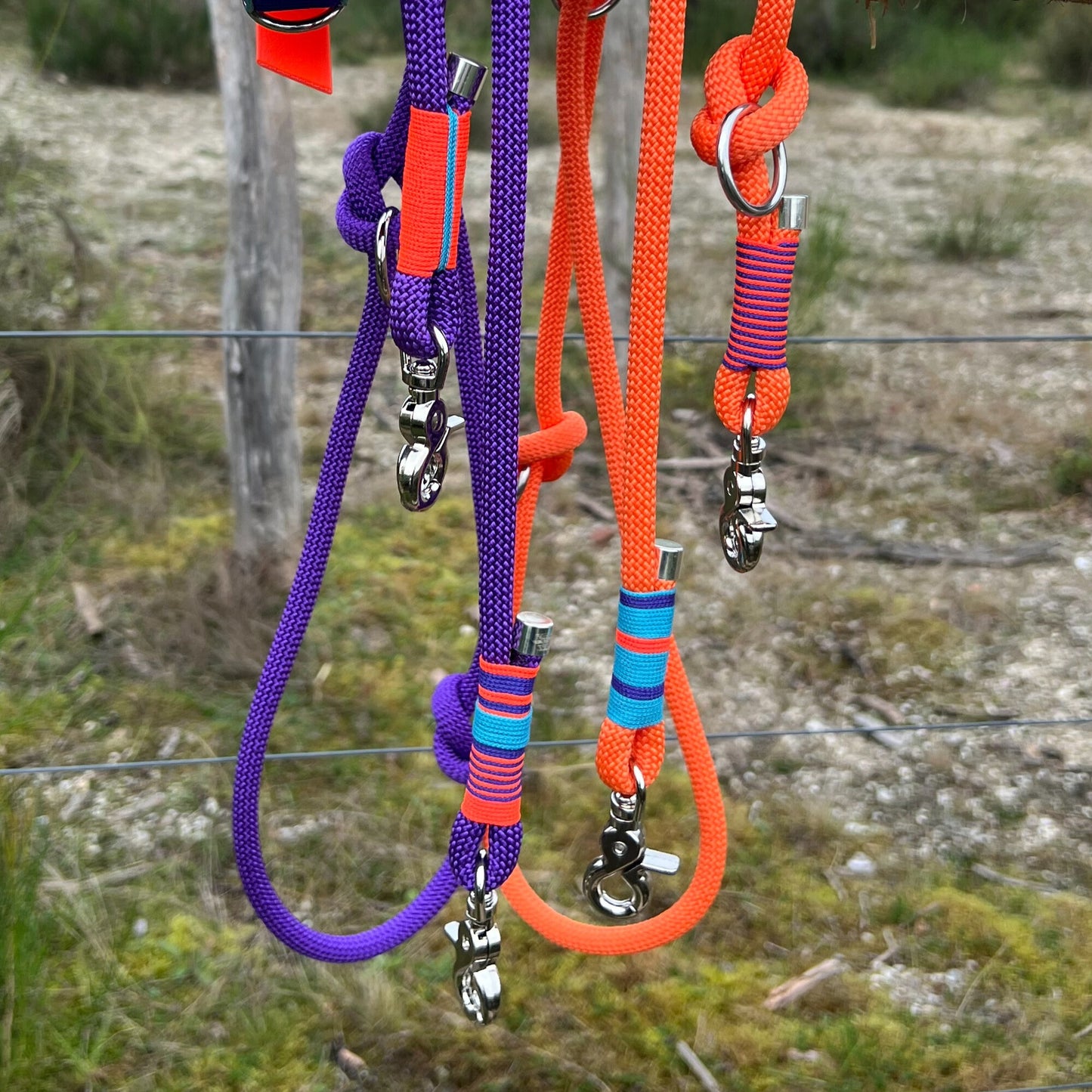 SAN FRANCISCO – Gassi, aber make it fancy